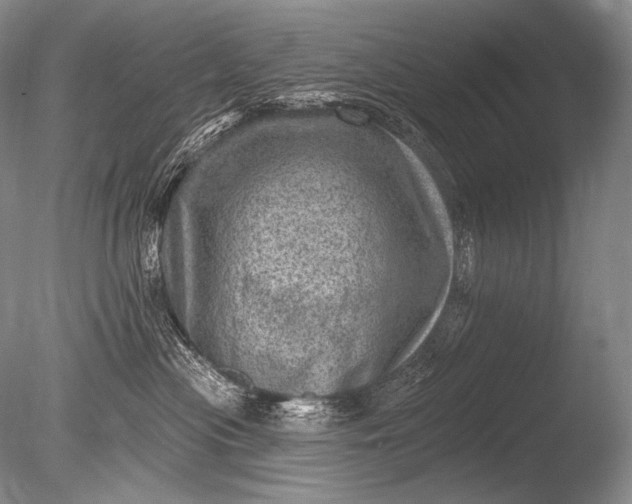 X0000085800477200703301503