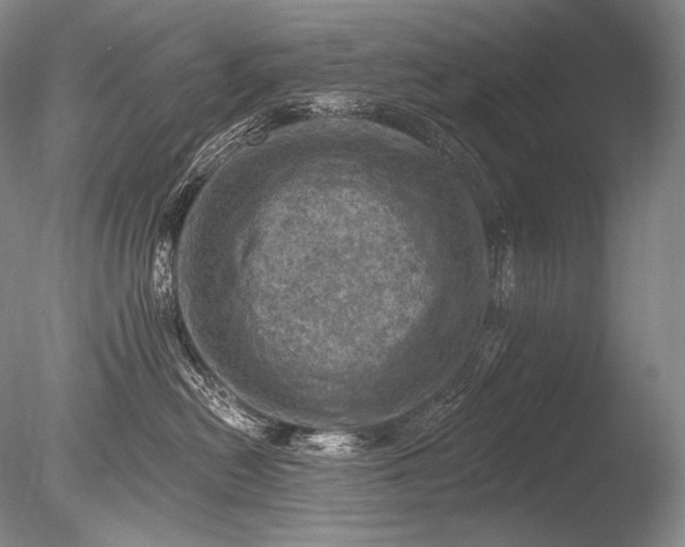 X0000085800478200703301503