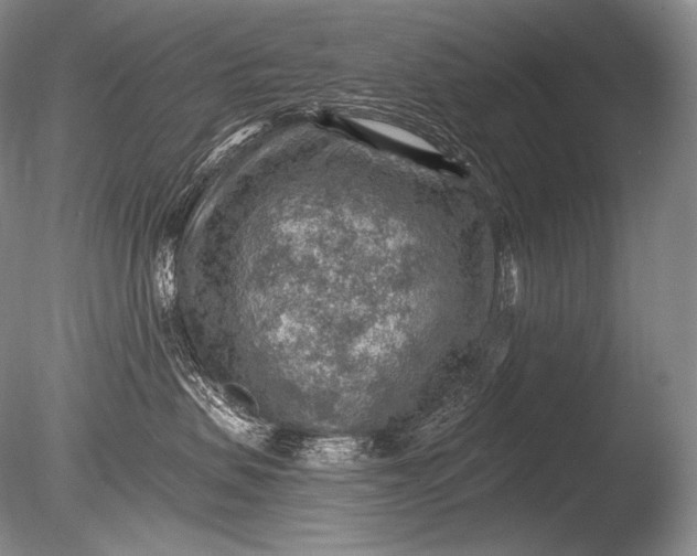 X0000085800479200703301503