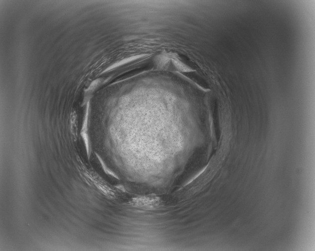 X0000085800480200703301503