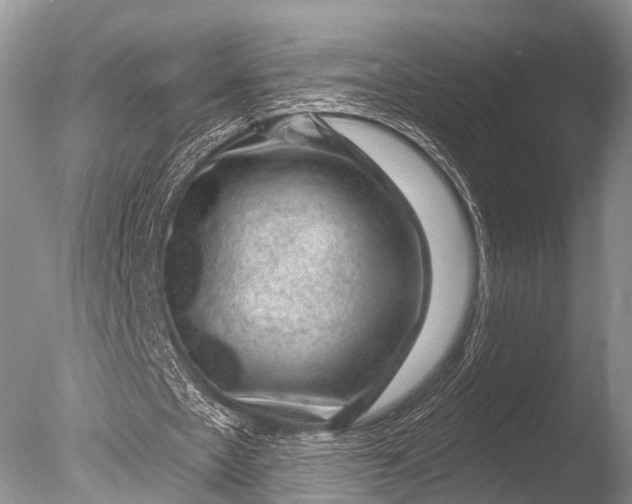 X0000085800481200703301502