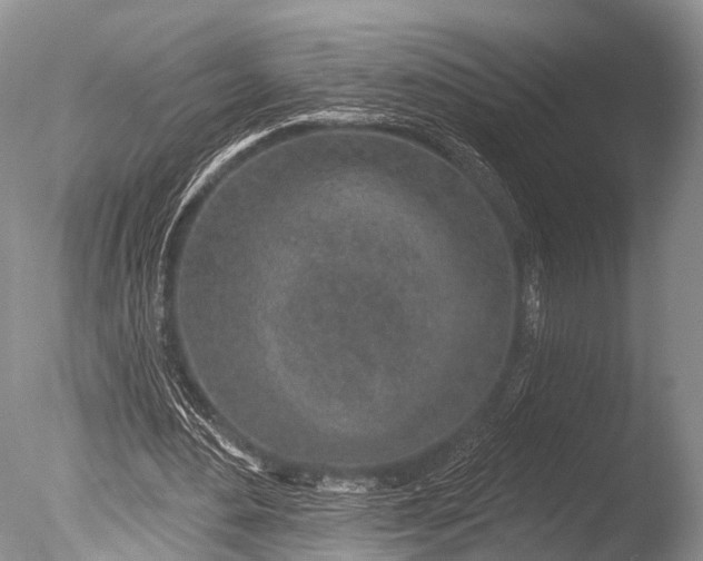 X0000085800484200703301502