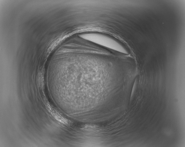 X0000085800487200703301502