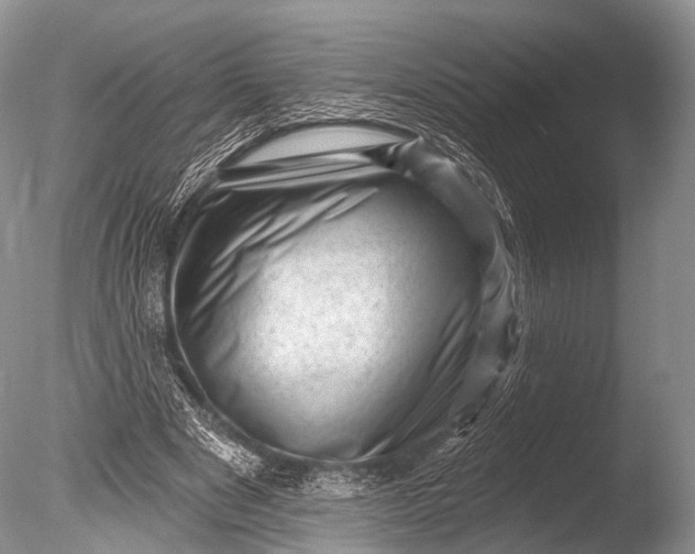 X0000085800489200703301502