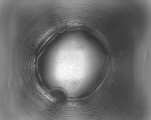 X0000085800490200703301502