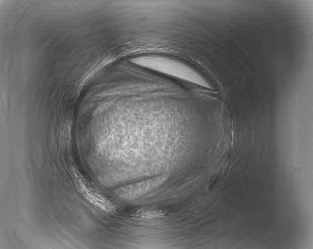 X0000085800491200703301502