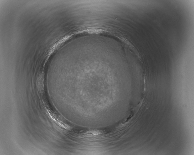 X0000085800492200703301502