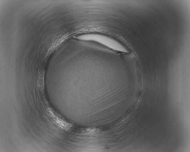 X0000085800493200703301502