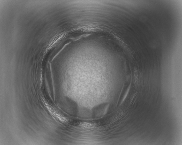 X0000085800494200703301502