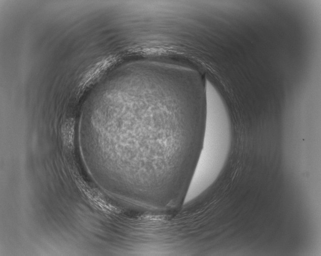 X0000085800495200703301502