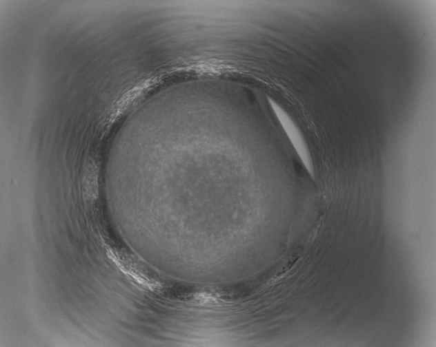 X0000085800496200703301502