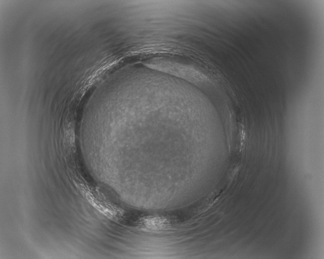 X0000085800500200703301502