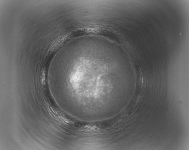 X0000085800502200703301502