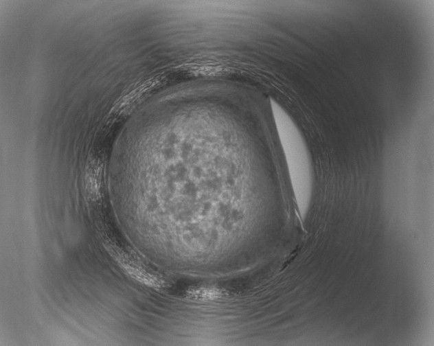 X0000085800503200703301502