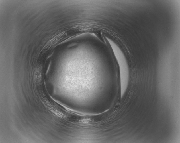 X0000085800505200703301502