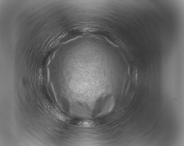 X0000085800506200703301502