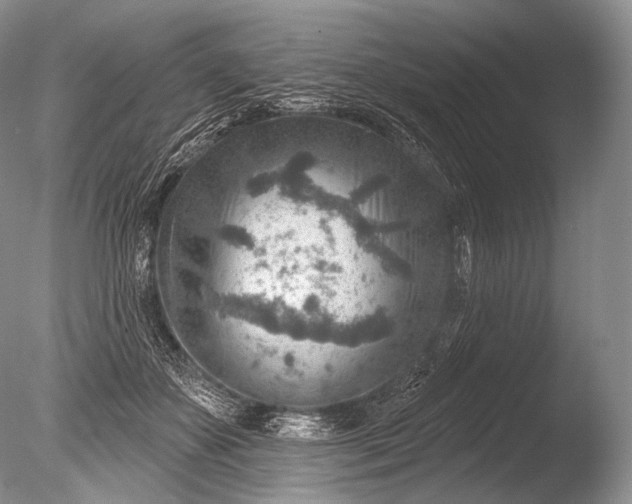 X0000085800507200703301502