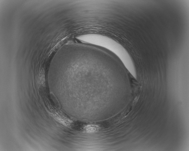 X0000085800508200703301502