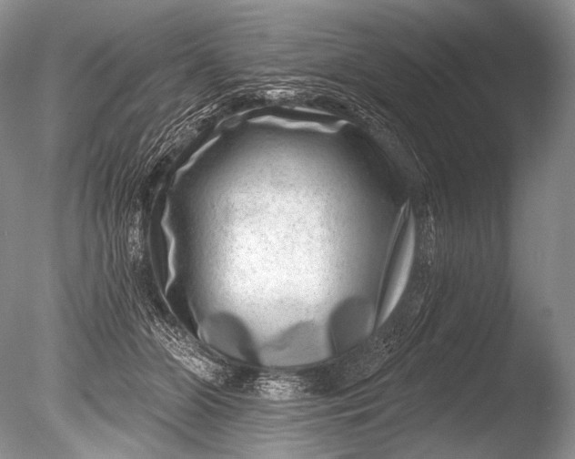 X0000085800510200703301502