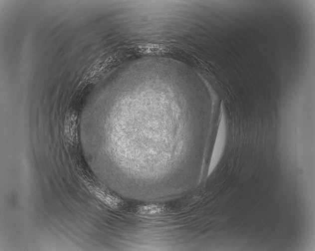 X0000085800511200703301502