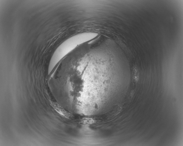 X0000085800519200703301501