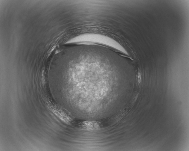 X0000085800520200703301501