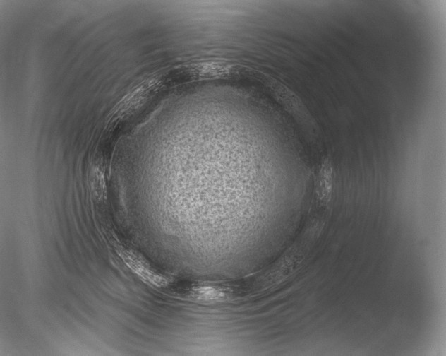 X0000085800522200703301501