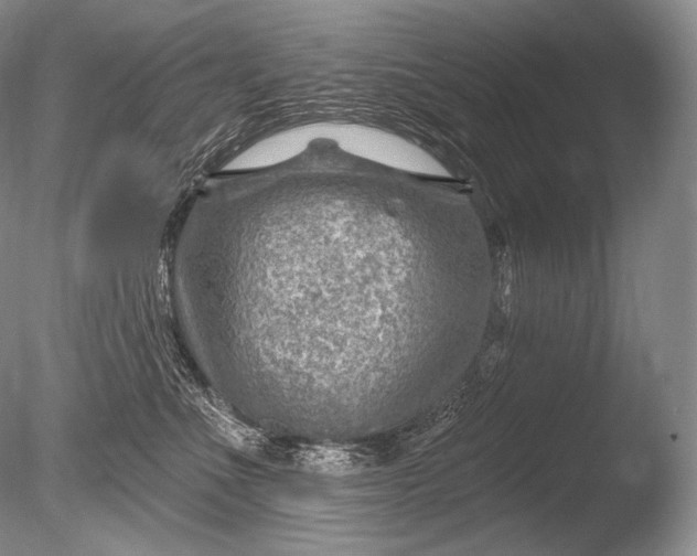 X0000085800523200703301501