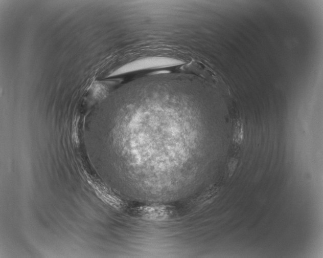 X0000085800524200703301501