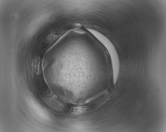 X0000085800525200703301501