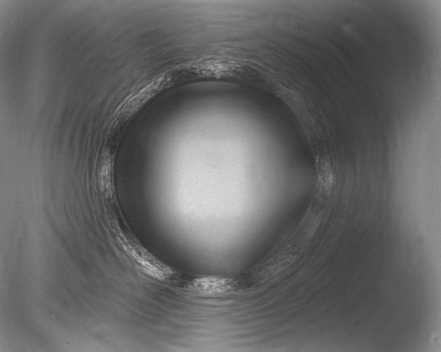 X0000085800526200703301501