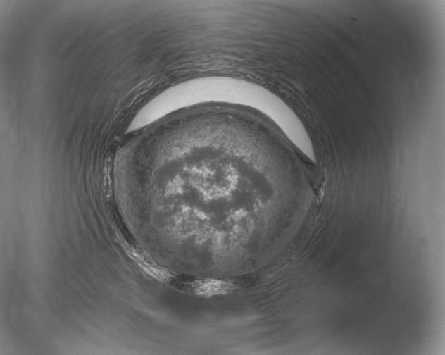 X0000085800527200703301501