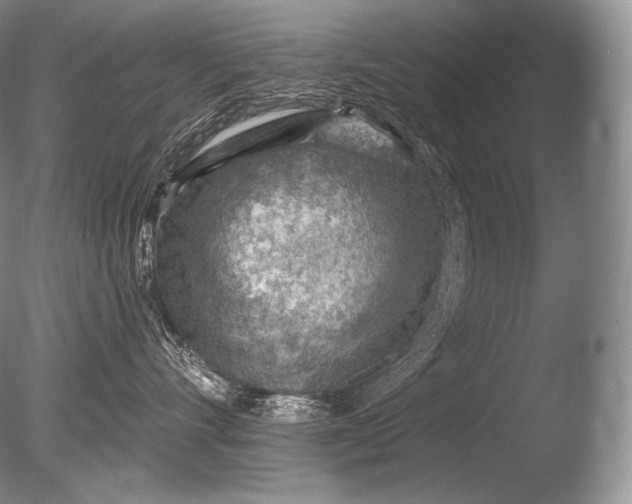 X0000085800528200703301501