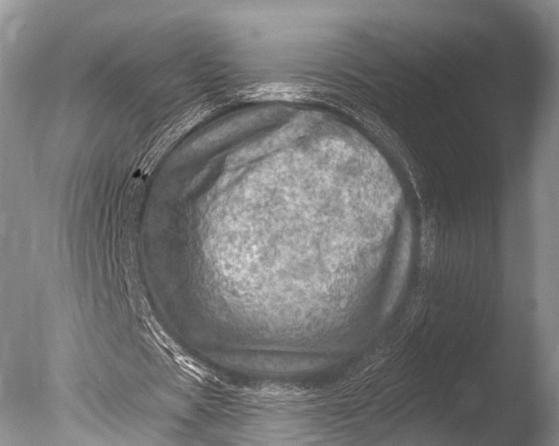 X0000085800529200703301500