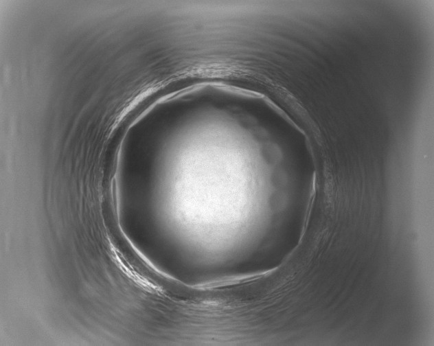 X0000085800530200703301501