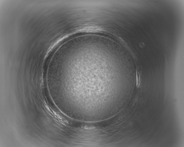 X0000085800531200703301501