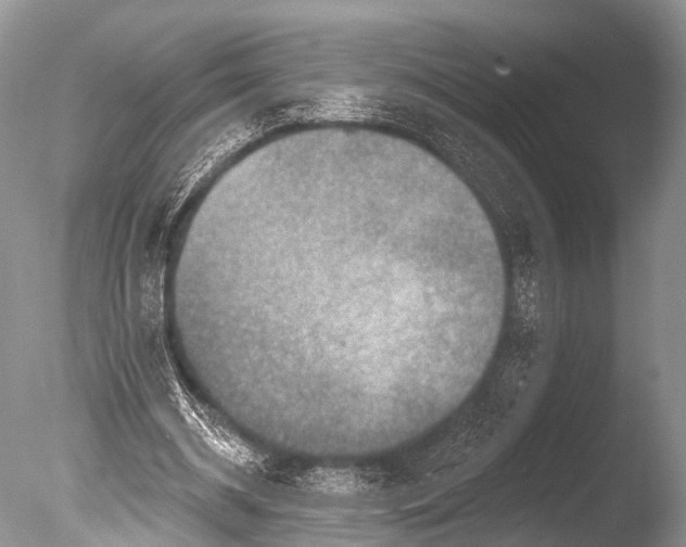 X0000085800534200703301501