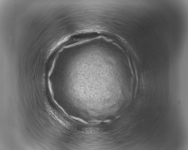 X0000085800535200703301501