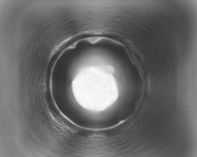 X0000085800536200703301501