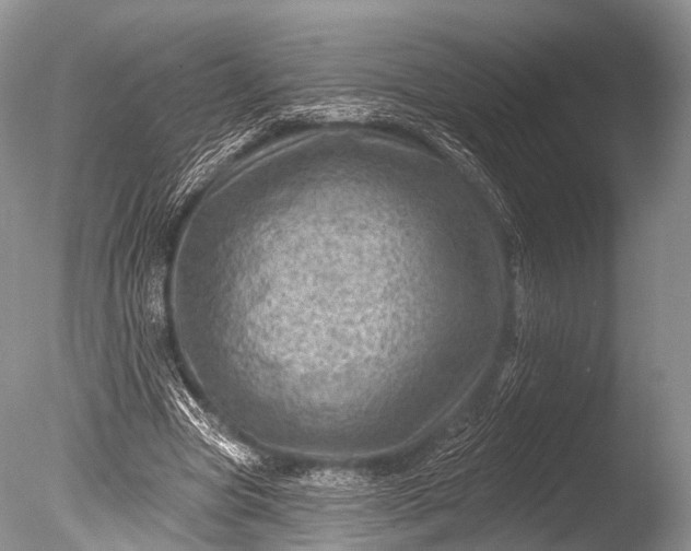 X0000085800537200703301501