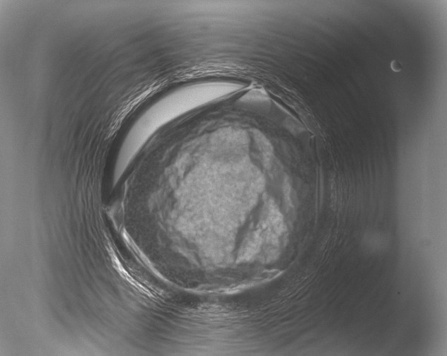 X0000085800538200703301501