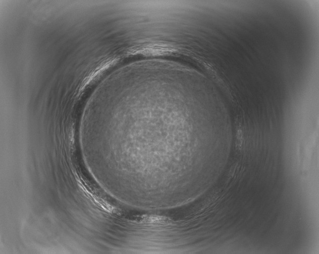 X0000085800539200703301501