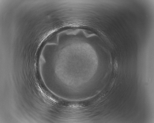 X0000085800540200703301501