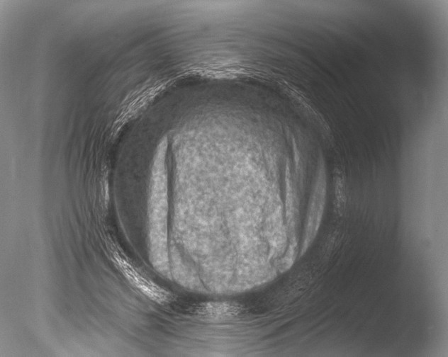 X0000085800541200703301501