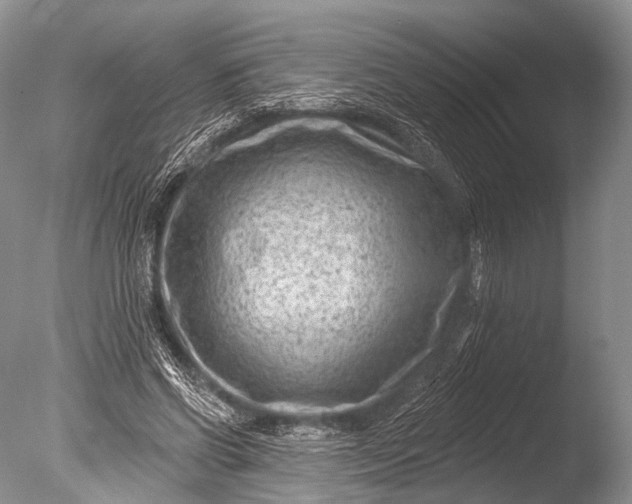 X0000085800542200703301501