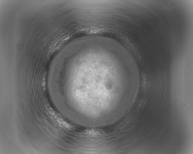 X0000085800545200703301501