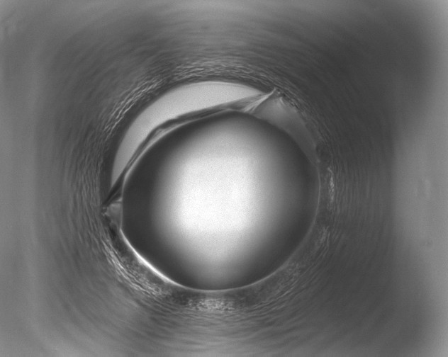 X0000085800546200703301501