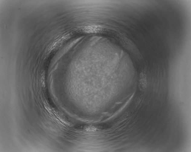 X0000085800547200703301501