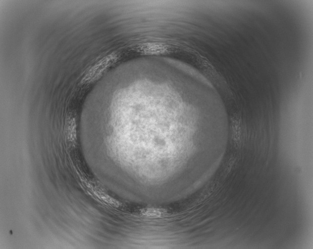 X0000085800549200703301501