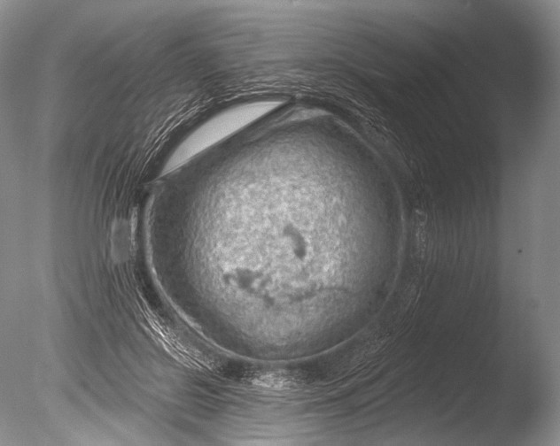 X0000085800550200703301501